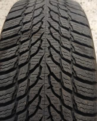 lamellari gomme  da neve
