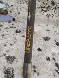Canne professionali da pesca sportiva