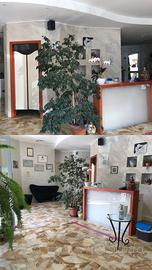 Parruccheria avviata 110 mq albissola superiore SV