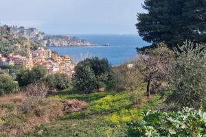 TERRENO EDIFICABILE panoramico