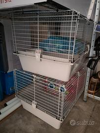 gabbia criceto