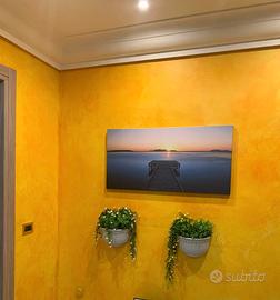 Libera camera per studentessa vicino l'università