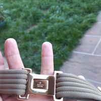 Cintura Gucci