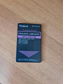 Roland SN-U110-05 Orchestra Strings