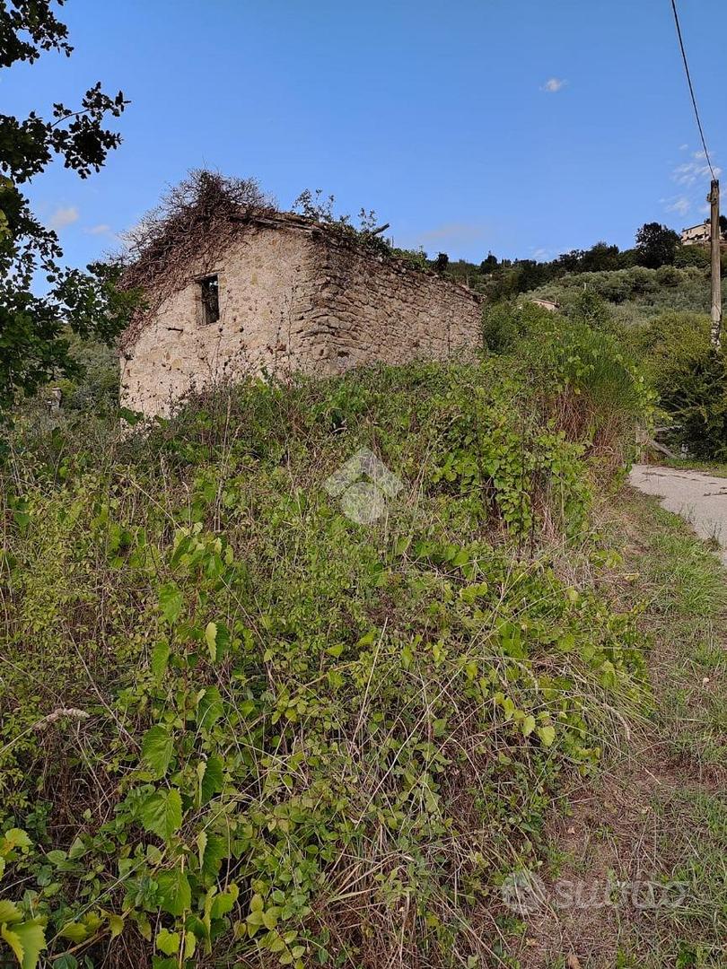 RUSTICO A BELLEGRA - Altro