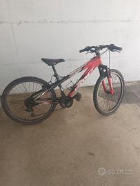 Bicicletta