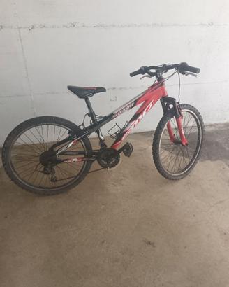Bicicletta