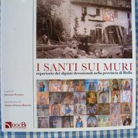 I SANTI SUI MURI    -  DOCBI CENTRO STUDI BIELLESI