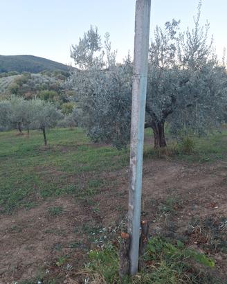 pali cemento vigna recinzione 