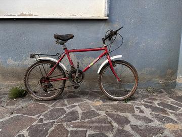 Mountain Bike Vintage "Escalation"