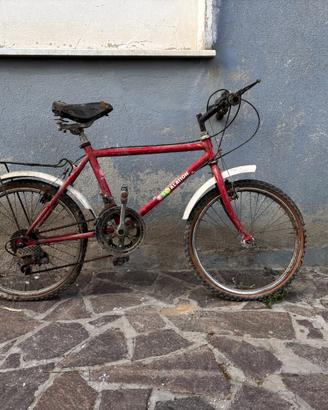 Mountain Bike Vintage "Escalation"