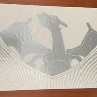 Ultra premium charizard aperta