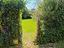 Immagine 14