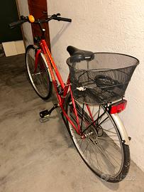 Bicicletta Globetrotter