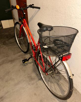 Bicicletta Globetrotter