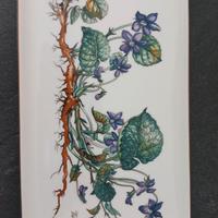 Piatti Villeroy & Boch