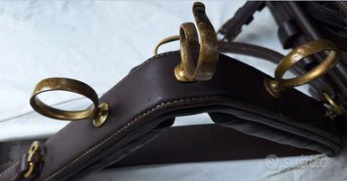 Finimento per cavalli da carrozza