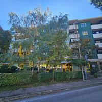 Appartamento - Gorizia -