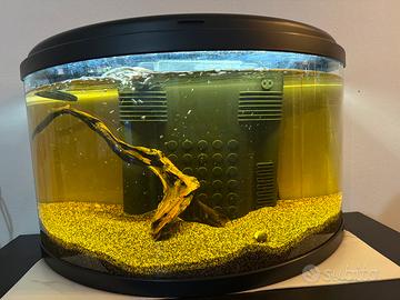 Acquario 60 litri