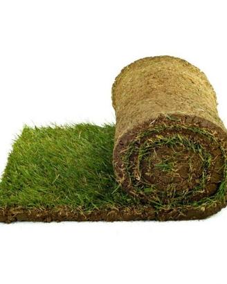 Prato naturale a rotoli