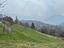 Immagine 14