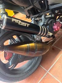 Roost RS5