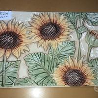 Piastrella 20x30 Rosone Campo Sant'Agostino