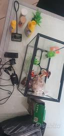 acquario+ 15 accessori