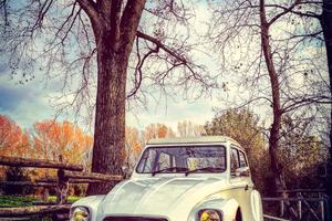 Citroen Dyane 1984 targa oro