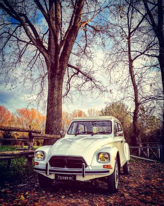 Citroen Dyane 1984 targa oro