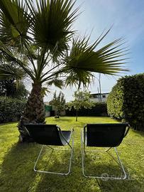 Bilocale con giardino a murta maria