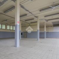 UFFICIO A SAVIGNANO SUL PANARO