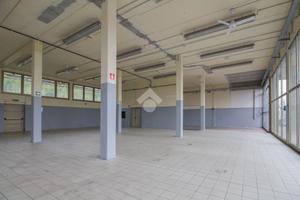 UFFICIO A SAVIGNANO SUL PANARO