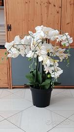 Coppia piante orchidee decorative artificiali.