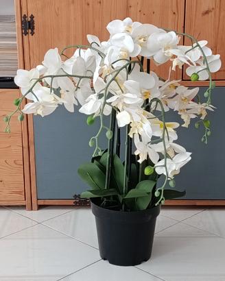 Coppia piante orchidee decorative artificiali.