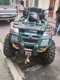 quad can-am 650
