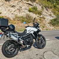 Triumph Tiger 900 - 2024