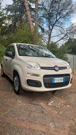 Panda 1.2 Benzina