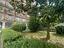 Immagine 20