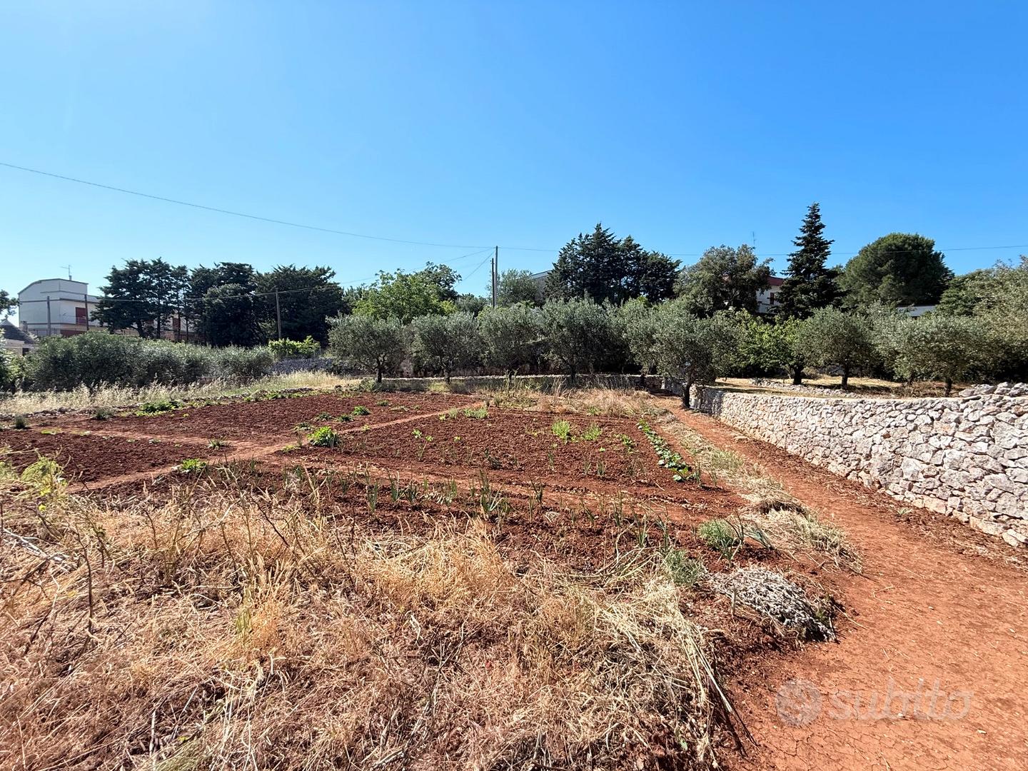 Terreno agricolo - Vista 5