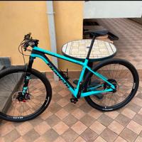 Bianchi Methanol CV 9.5 MTB Carbonio