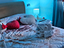 Immagine 4
