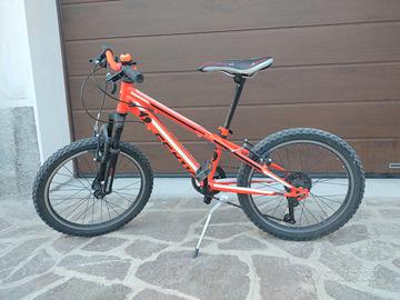 Bicicletta bambino 20 pollici