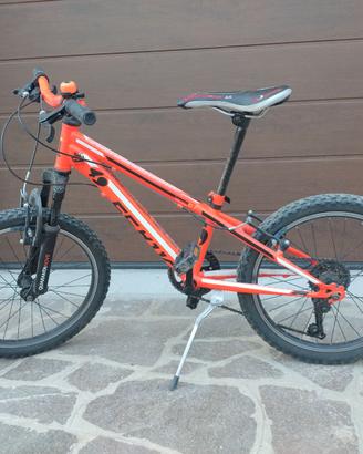 Bicicletta bambino 20 pollici