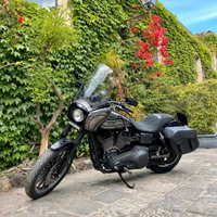 Dyna FXDX Super Glide Sport
