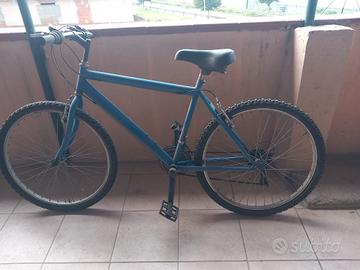 bici montabike