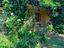 Immagine 19
