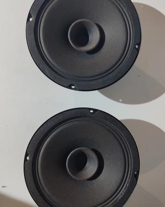 Altoparlanti doppio cono