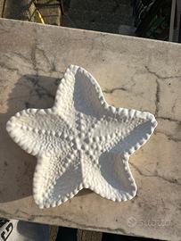 stella marina ceramica