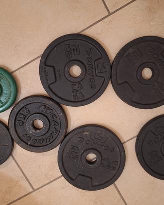 Ghisa per Palestra in Casa - 132 kg di Dischi + Ma